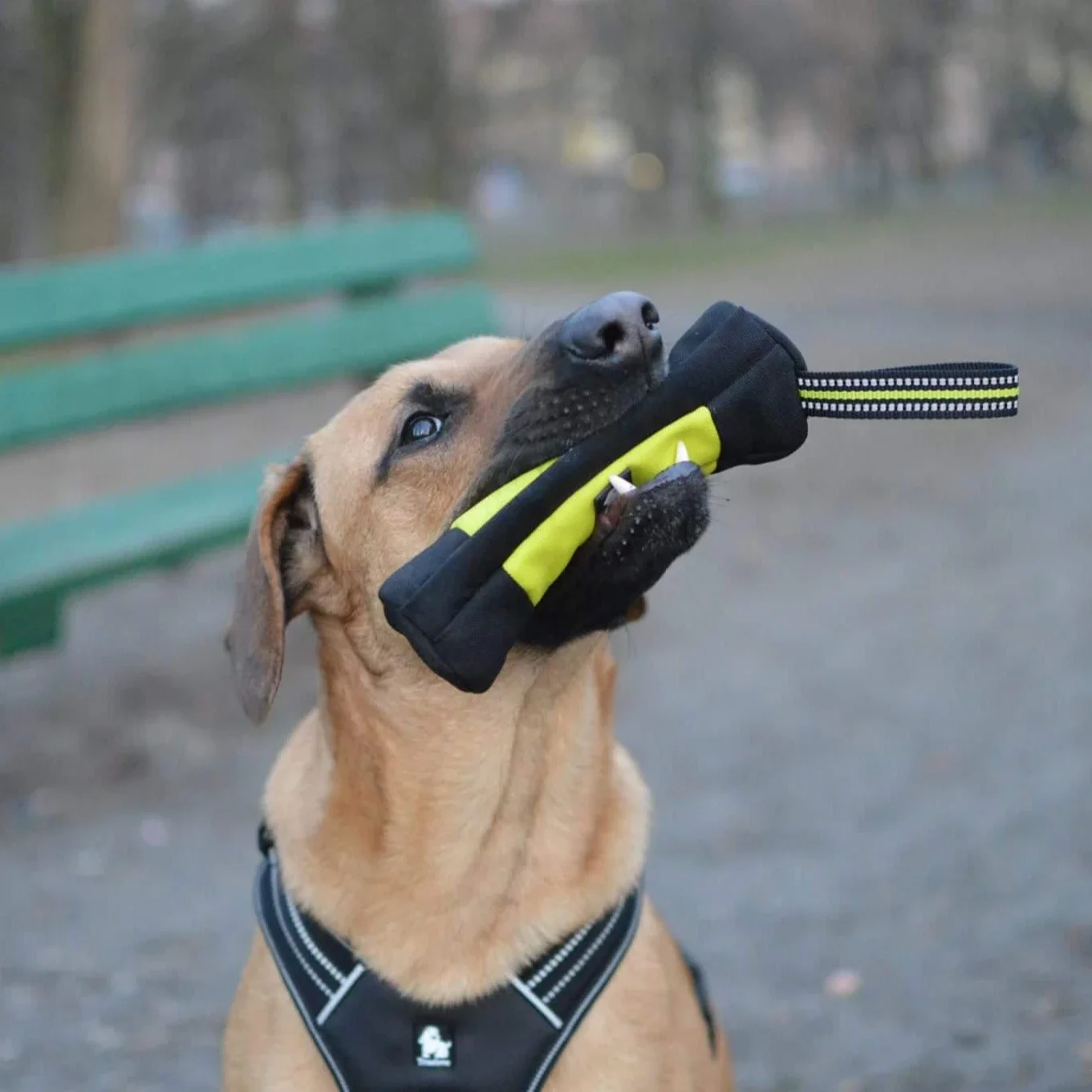 Truelove Hundetraining Retriev – Food Pouch Reusable Bewertung und Preis
