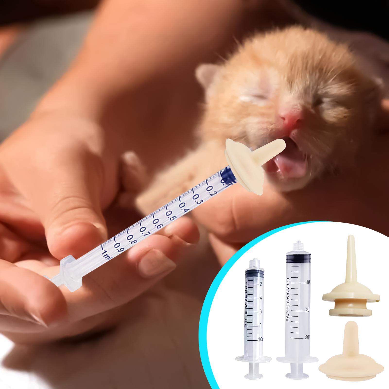 Baby Vogel Fütterung Spritze W – Baby Food Youtube Bewertung und Preis
